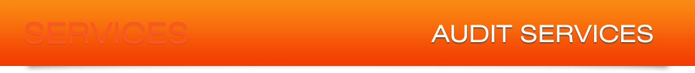 Ser Audit Banner